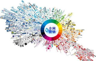 企业如何策划全网营销方案
