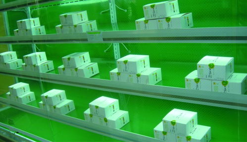 五行豆腐农产品包装设计与市场营销策划方案